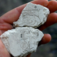 A mural fragment with calendar notation.